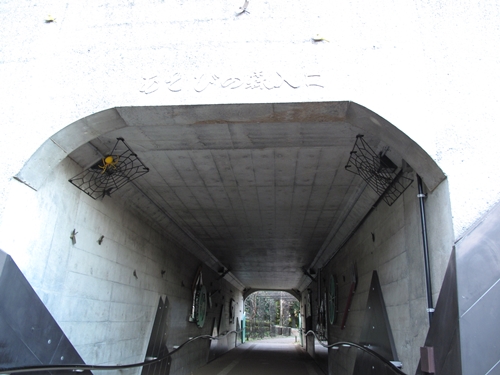 四季の森公園2日目-45