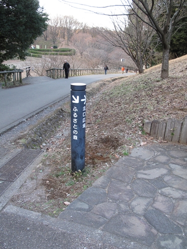 四季の森公園2日目-48