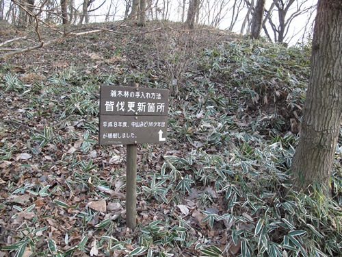 四季の森公園2日目-54