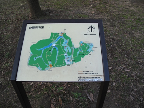 四季の森公園2日目-55