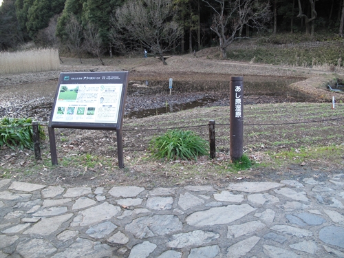 四季の森公園2日目-56
