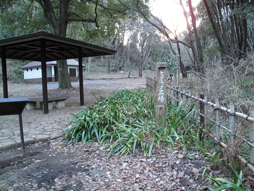 四季の森公園2日目-57