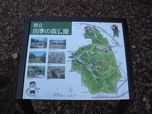 四季の森公園2日目-58