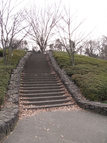 四季の森公園3日目-03