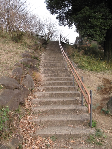 四季の森公園3日目-05