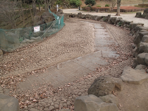 四季の森公園3日目-08