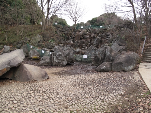 四季の森公園3日目-10