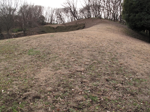 四季の森公園3日目-11