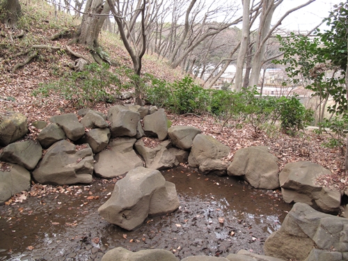 四季の森公園3日目-13