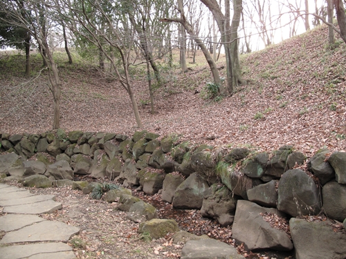 四季の森公園3日目-14