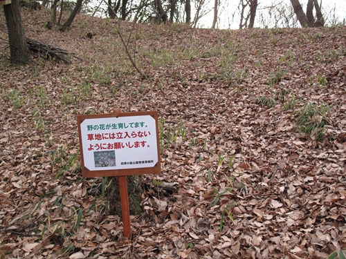 四季の森公園3日目-18