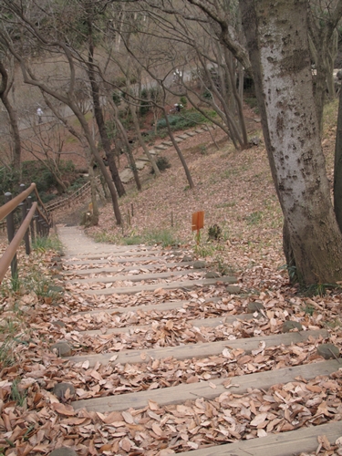 四季の森公園3日目-19