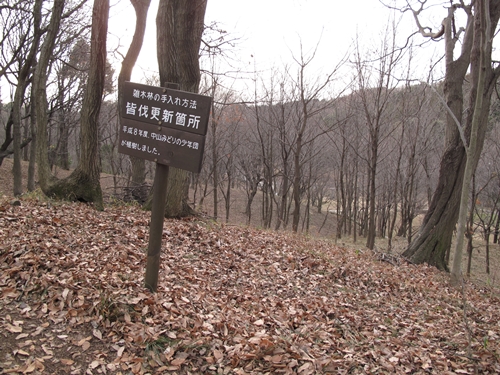 四季の森公園3日目-22