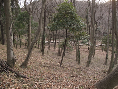 四季の森公園3日目-23