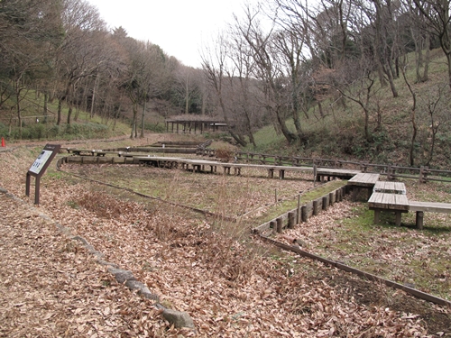 四季の森公園3日目-24