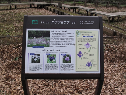 四季の森公園3日目-25