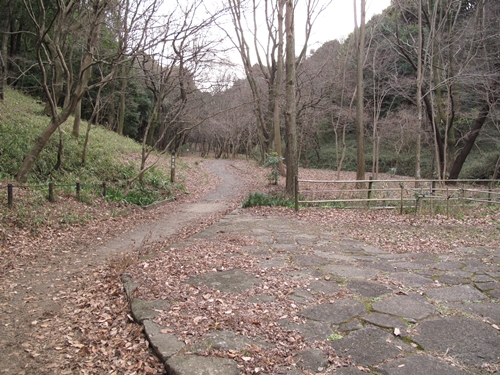 四季の森公園3日目-26