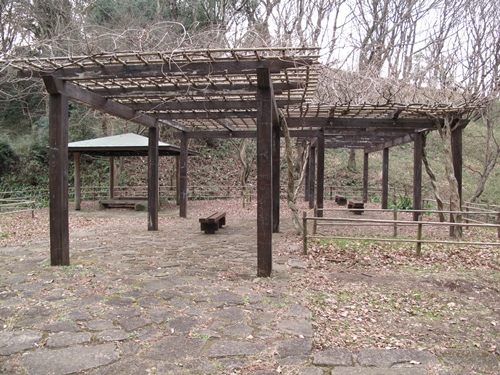 四季の森公園3日目-27