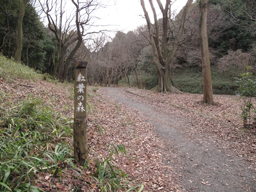 四季の森公園3日目-28