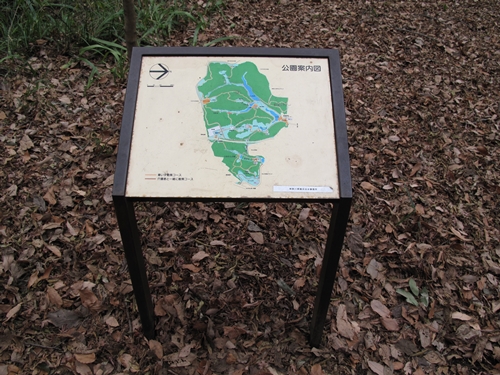 四季の森公園3日目-30