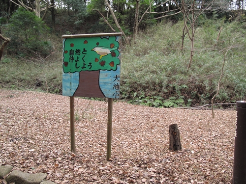 四季の森公園3日目-32