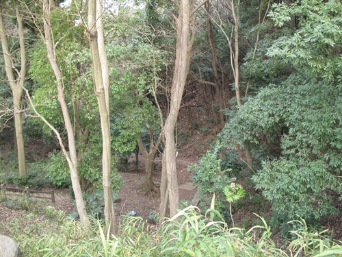 四季の森公園3日目-33