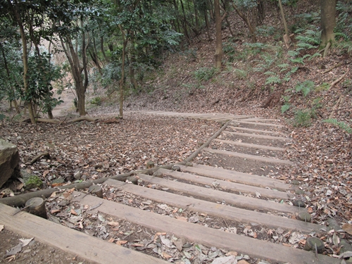 四季の森公園3日目-34