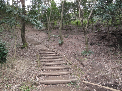 四季の森公園3日目-36
