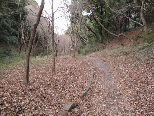 四季の森公園3日目-37