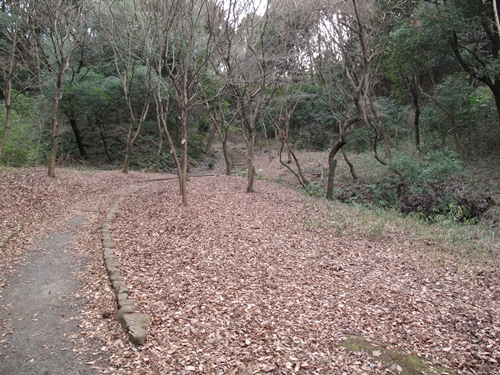 四季の森公園3日目-38