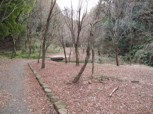 四季の森公園3日目-39