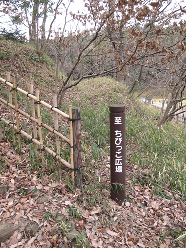 四季の森公園3日目-42