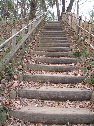 四季の森公園3日目-43