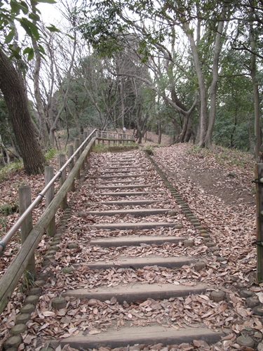 四季の森公園3日目-44