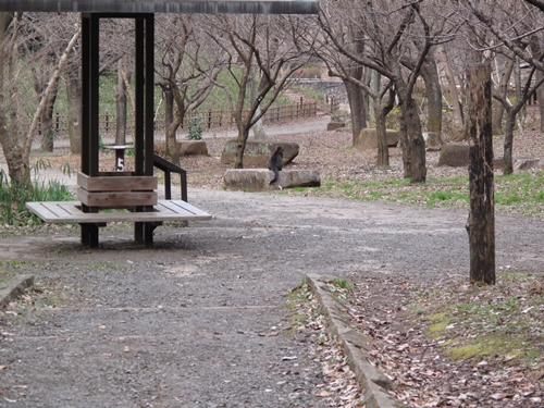 四季の森公園3日目-47