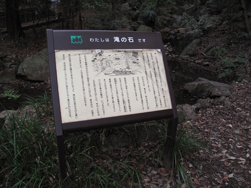 四季の森公園3日目-49