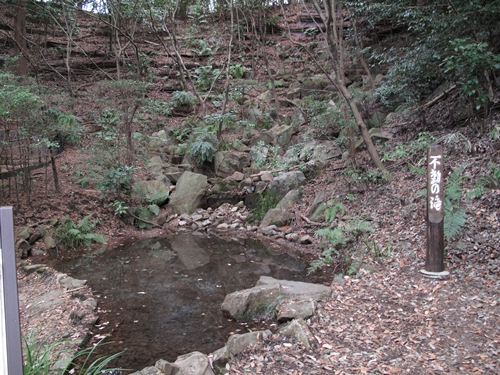 四季の森公園3日目-50