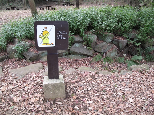 四季の森公園3日目-51