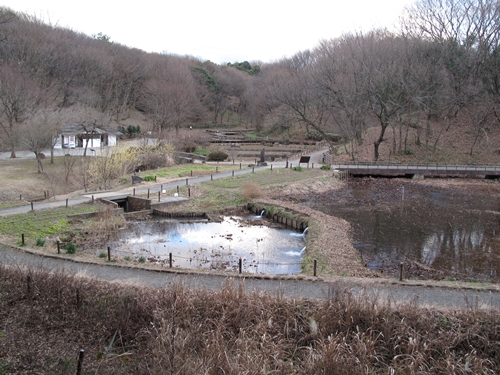 四季の森公園4日目-02