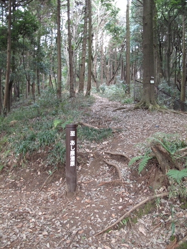 四季の森公園4日目-04