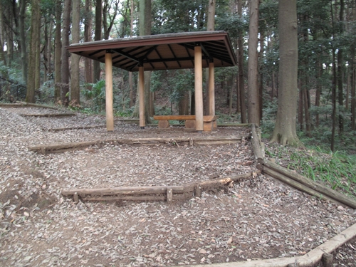 四季の森公園4日目-05