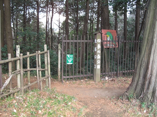 四季の森公園4日目-06