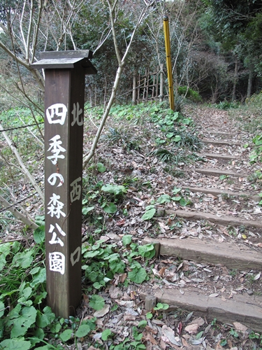 四季の森公園4日目-12