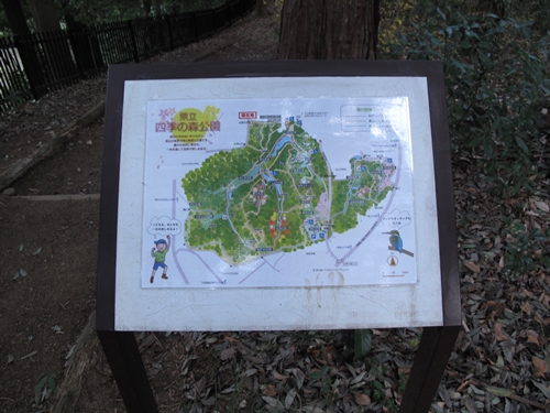 四季の森公園4日目-14