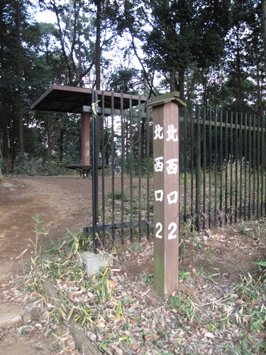 四季の森公園4日目-15