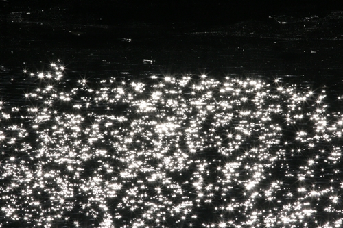 新治市民の森-44