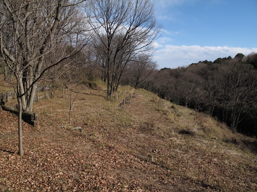 新治市民の森-01