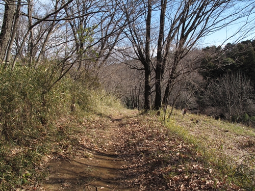 新治市民の森-02