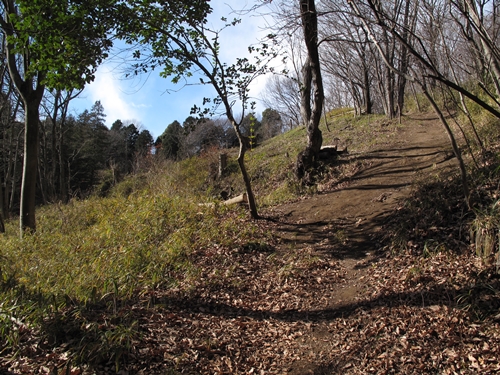 新治市民の森-03