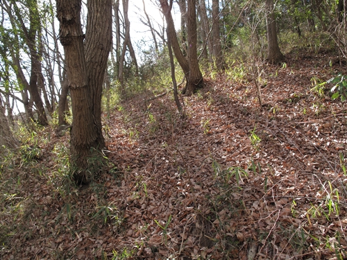 新治市民の森-05